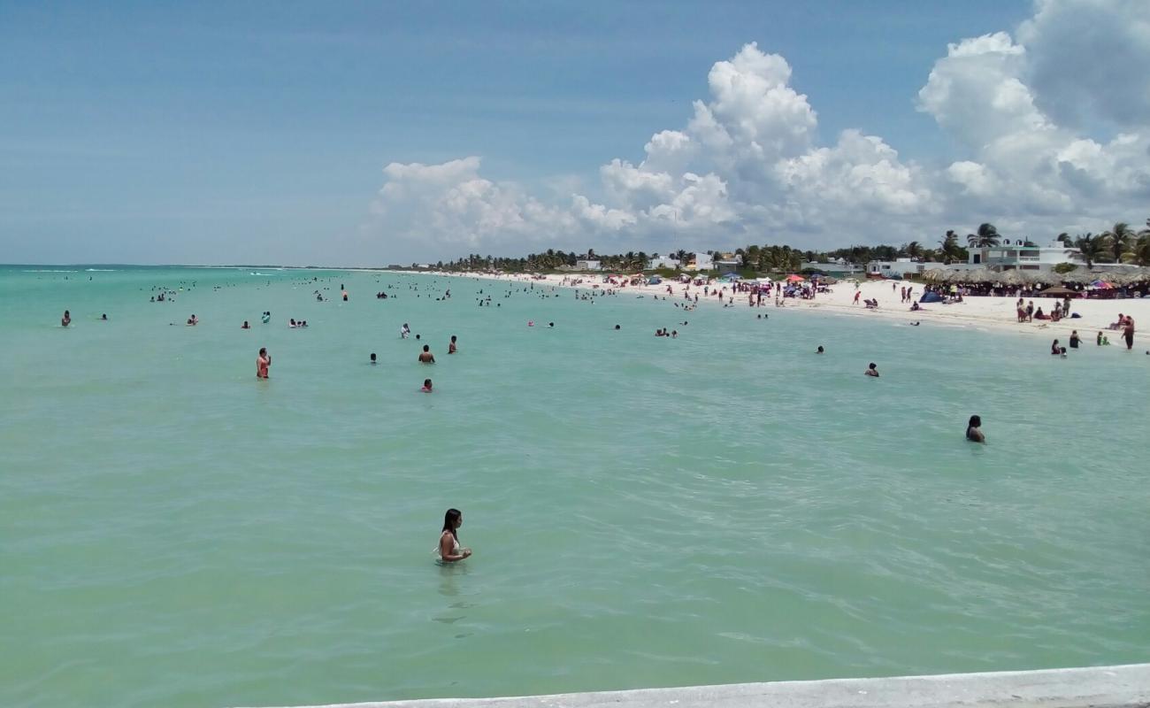 Playa Sisal'in fotoğrafı açık bej kum yüzey ile