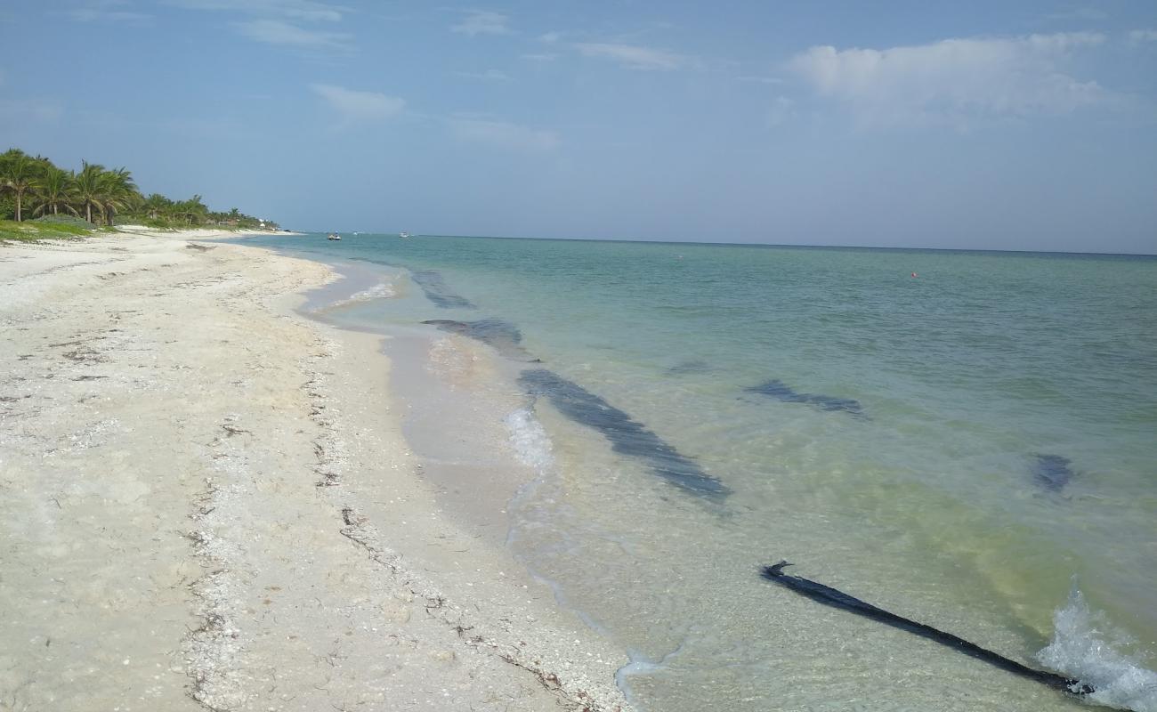 Playa Uaymitun'in fotoğrafı açık bej kum yüzey ile