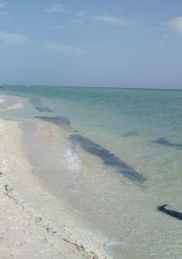 El Salvador