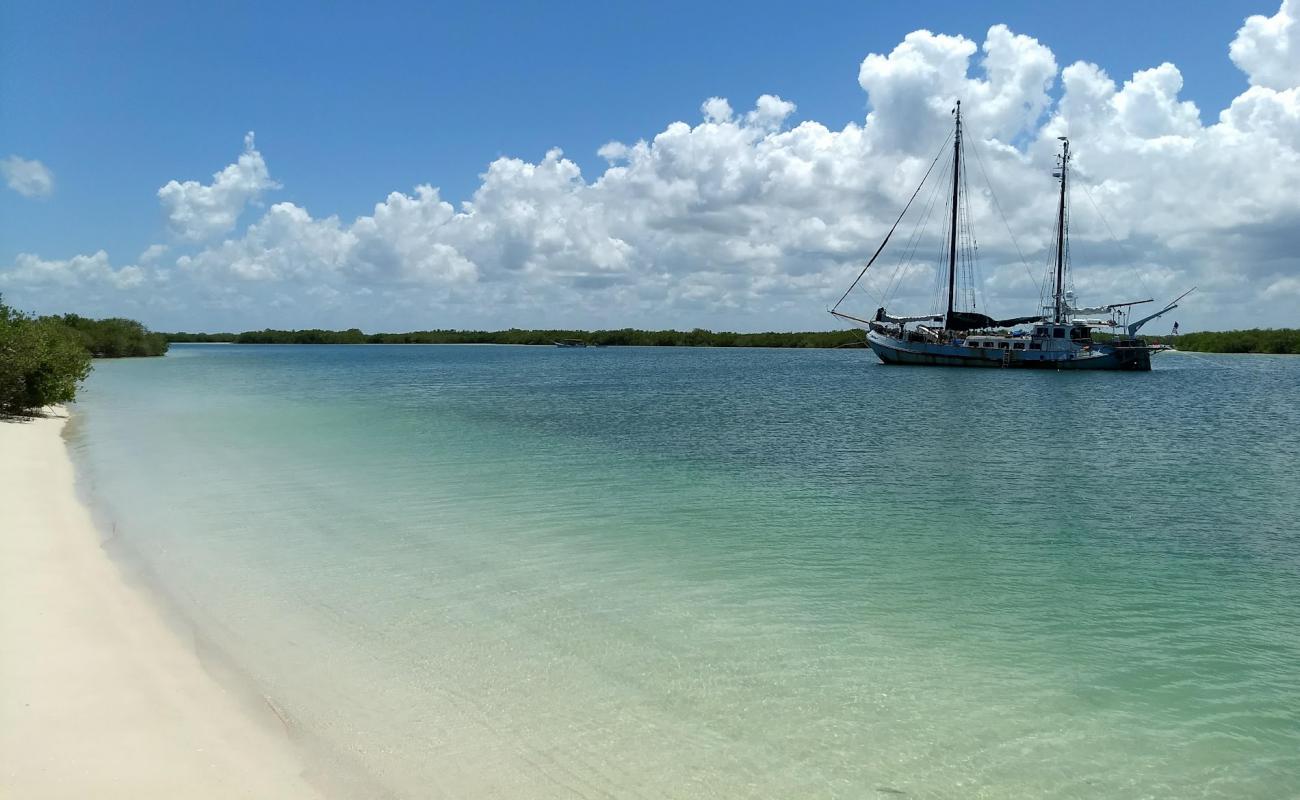 Playa Rio Lagartos'in fotoğrafı parlak ince kum yüzey ile