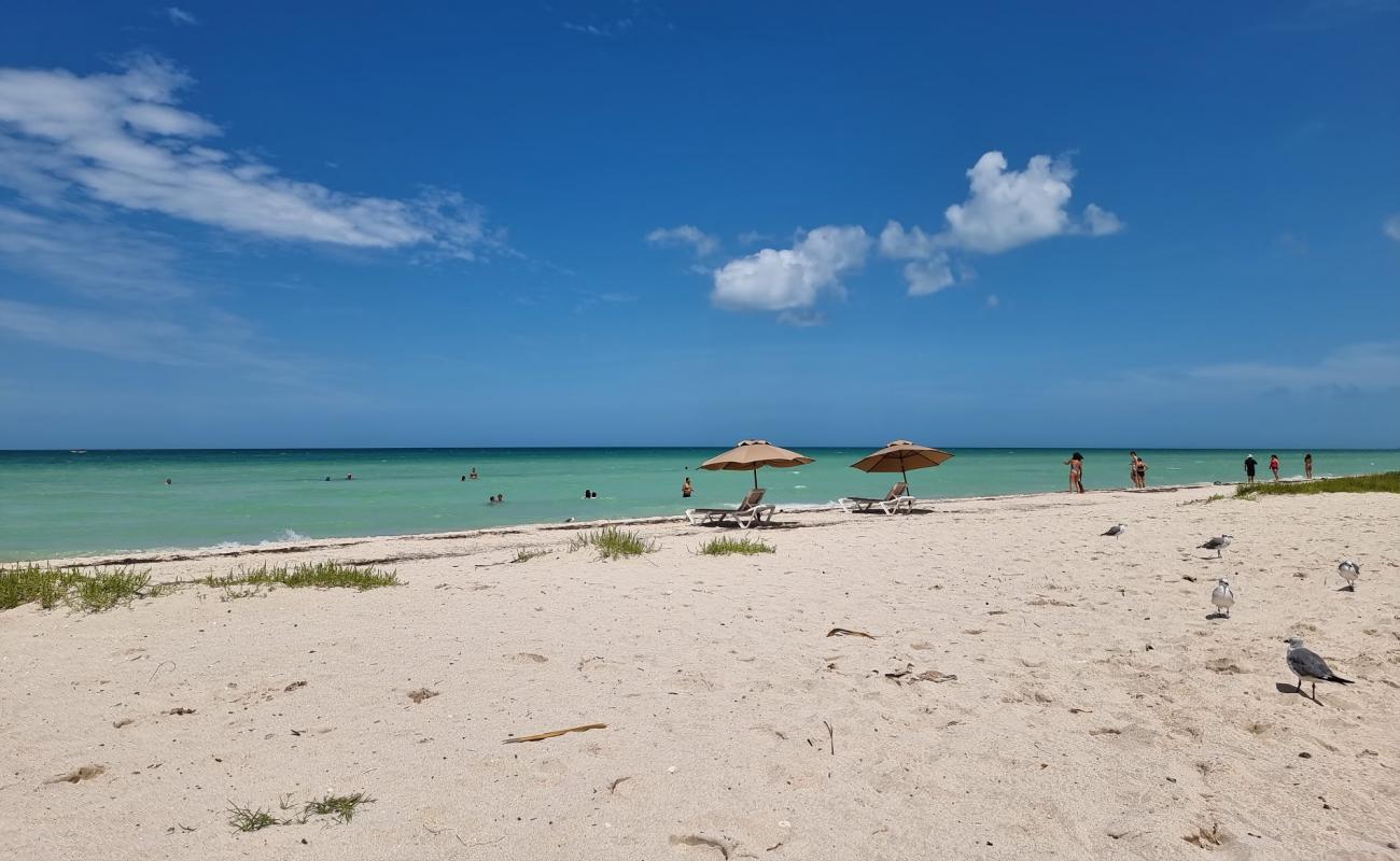 Cancunito beach'in fotoğrafı parlak kum yüzey ile