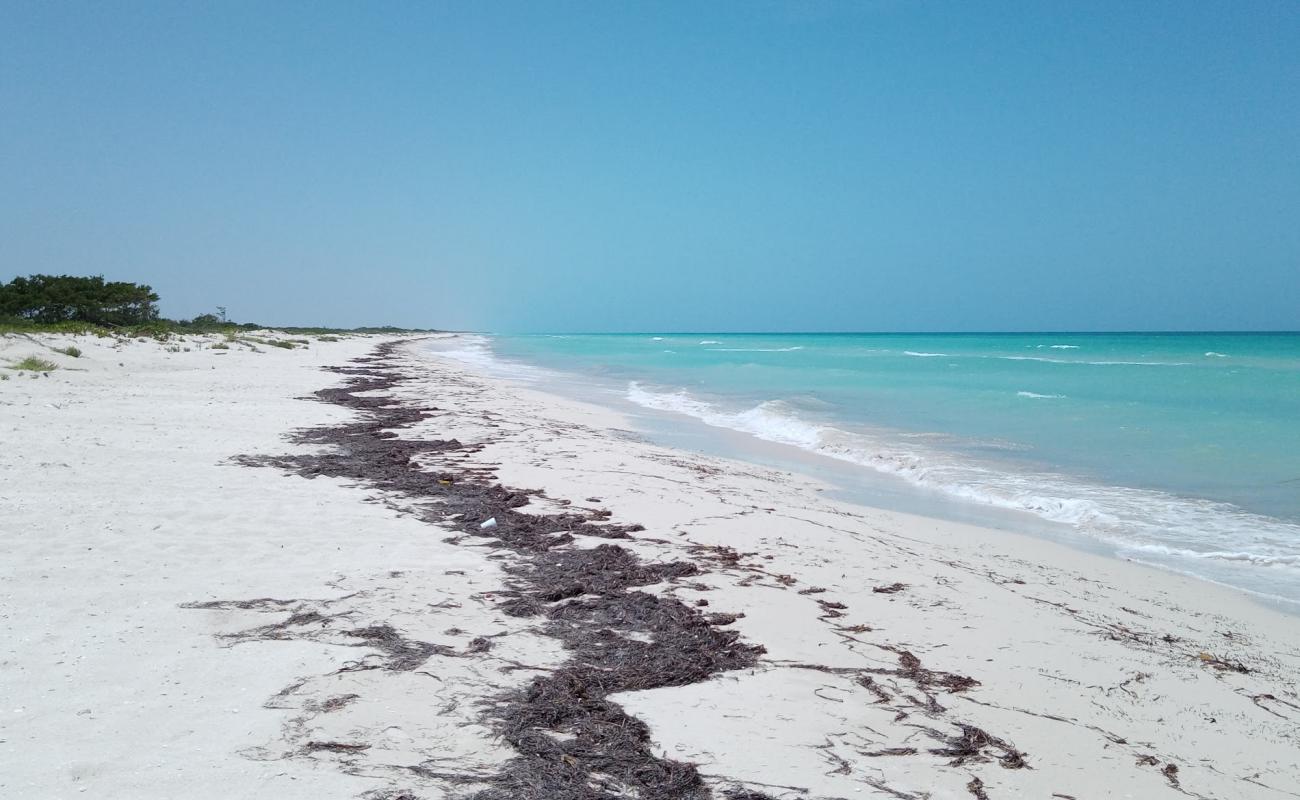 Playa Las Coloradas'in fotoğrafı parlak kum yüzey ile