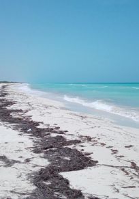 Las Coloradas