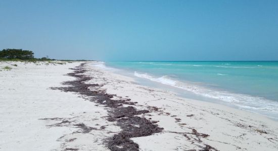 Playa Las Coloradas