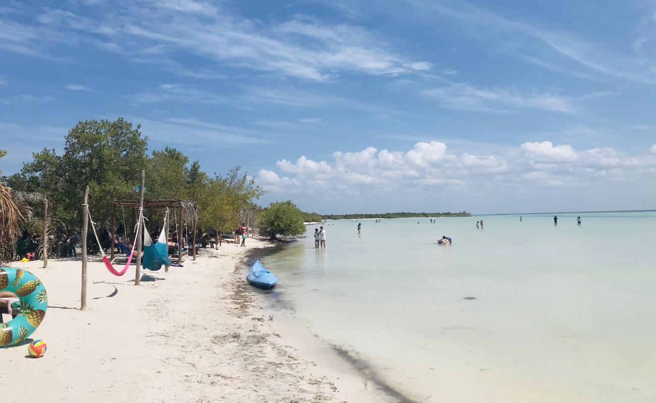 Playa Punta Cocos'in fotoğrafı açık bej kum yüzey ile