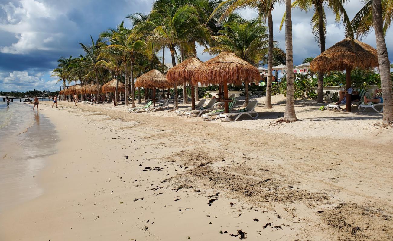 Hyatt Ziva Riviera Cancun'in fotoğrafı açık bej kum yüzey ile