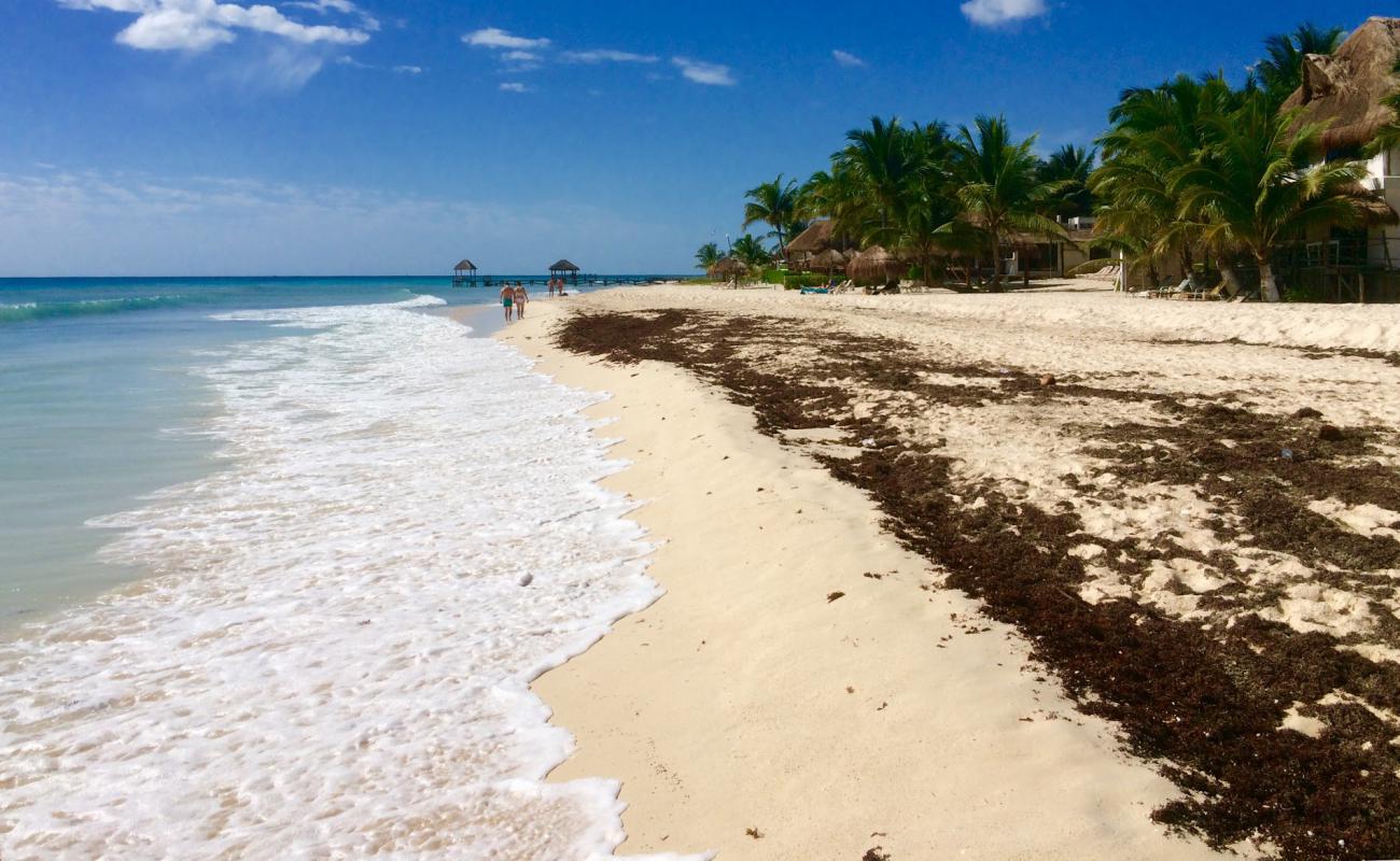 Playa Xcalacoco'in fotoğrafı parlak ince kum yüzey ile