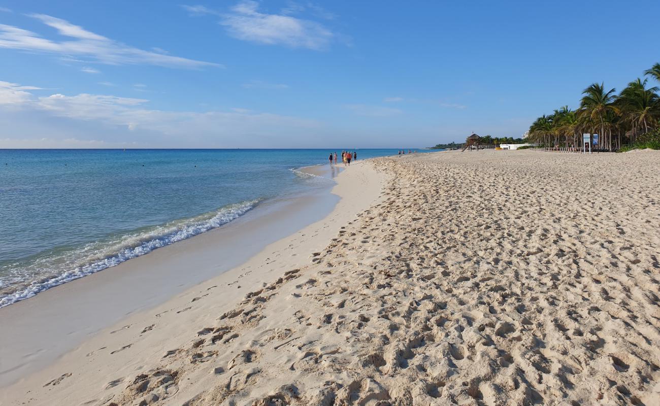 Playacar beach'in fotoğrafı parlak ince kum yüzey ile