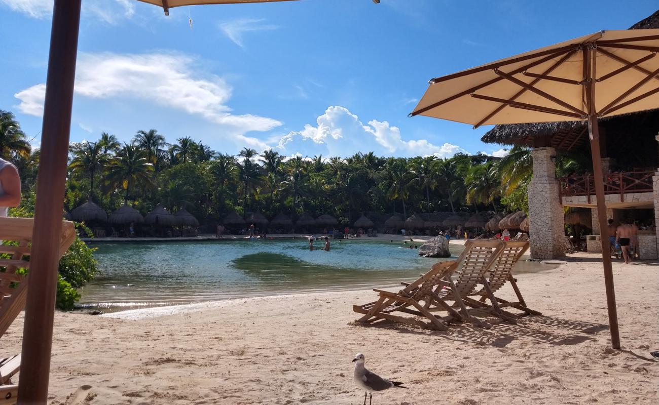Delphinus Xcaret beach'in fotoğrafı açık bej kum yüzey ile
