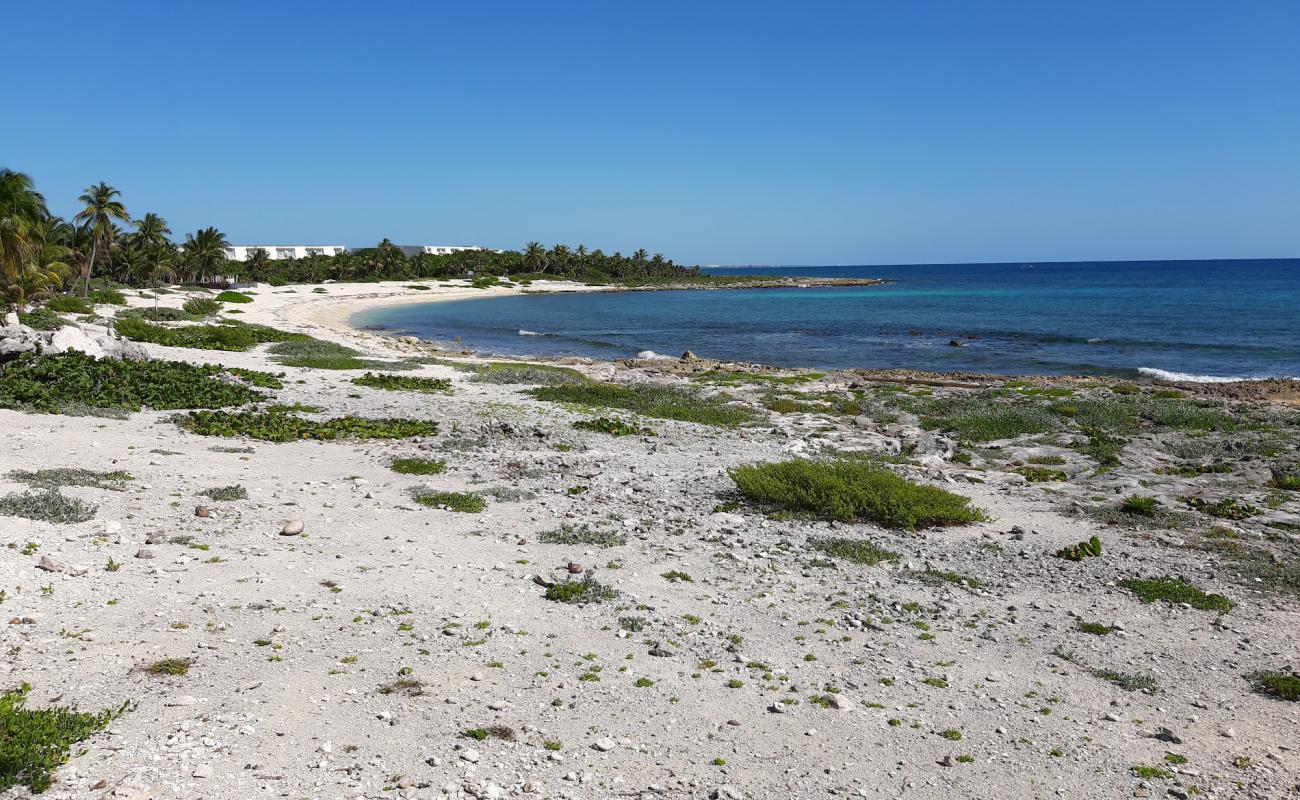 Santa Martha beach'in fotoğrafı parlak kum yüzey ile