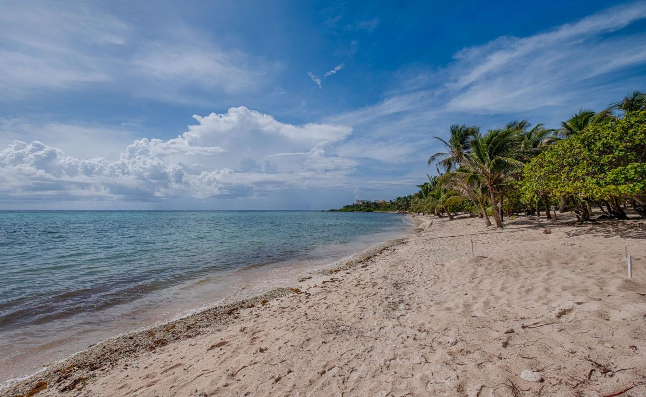 Playa Akumal II'in fotoğrafı açık bej kum yüzey ile