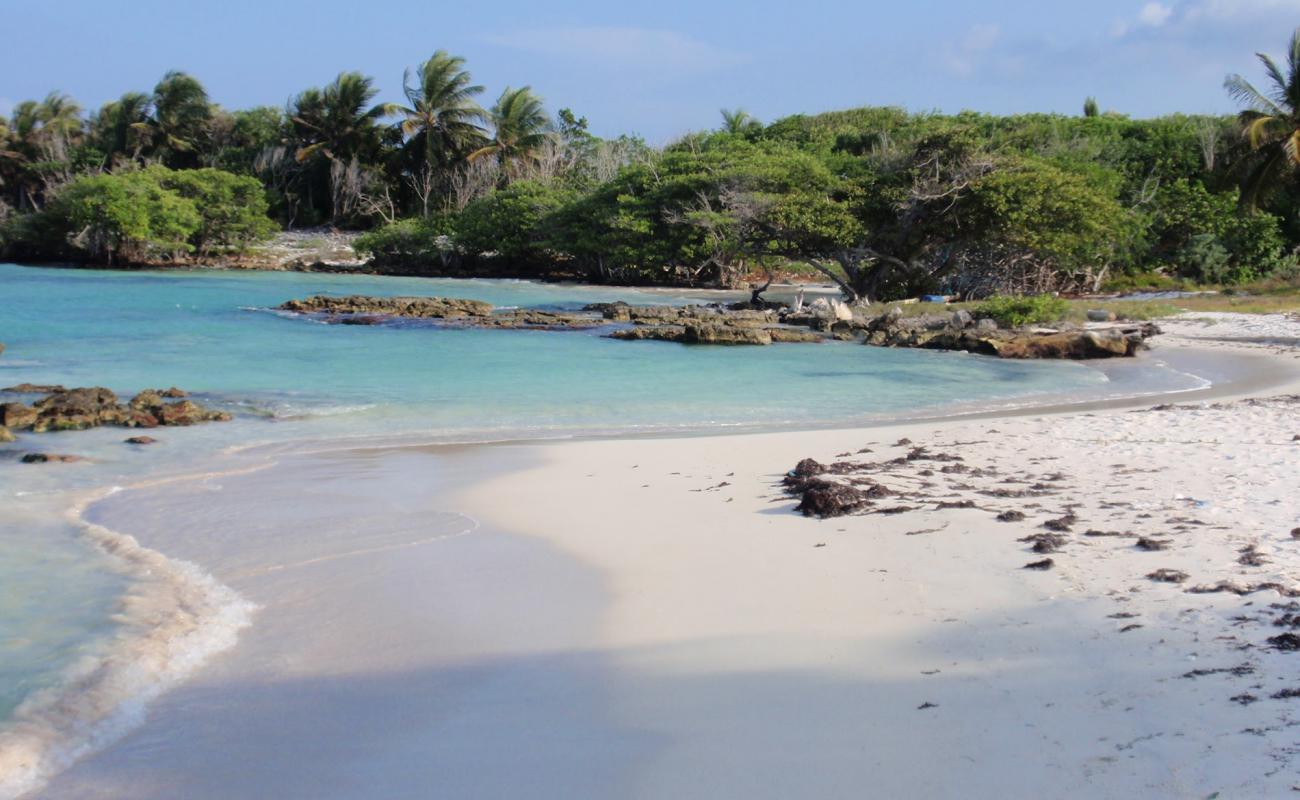 Akumal bay beach'in fotoğrafı i̇nce bej kum yüzey ile
