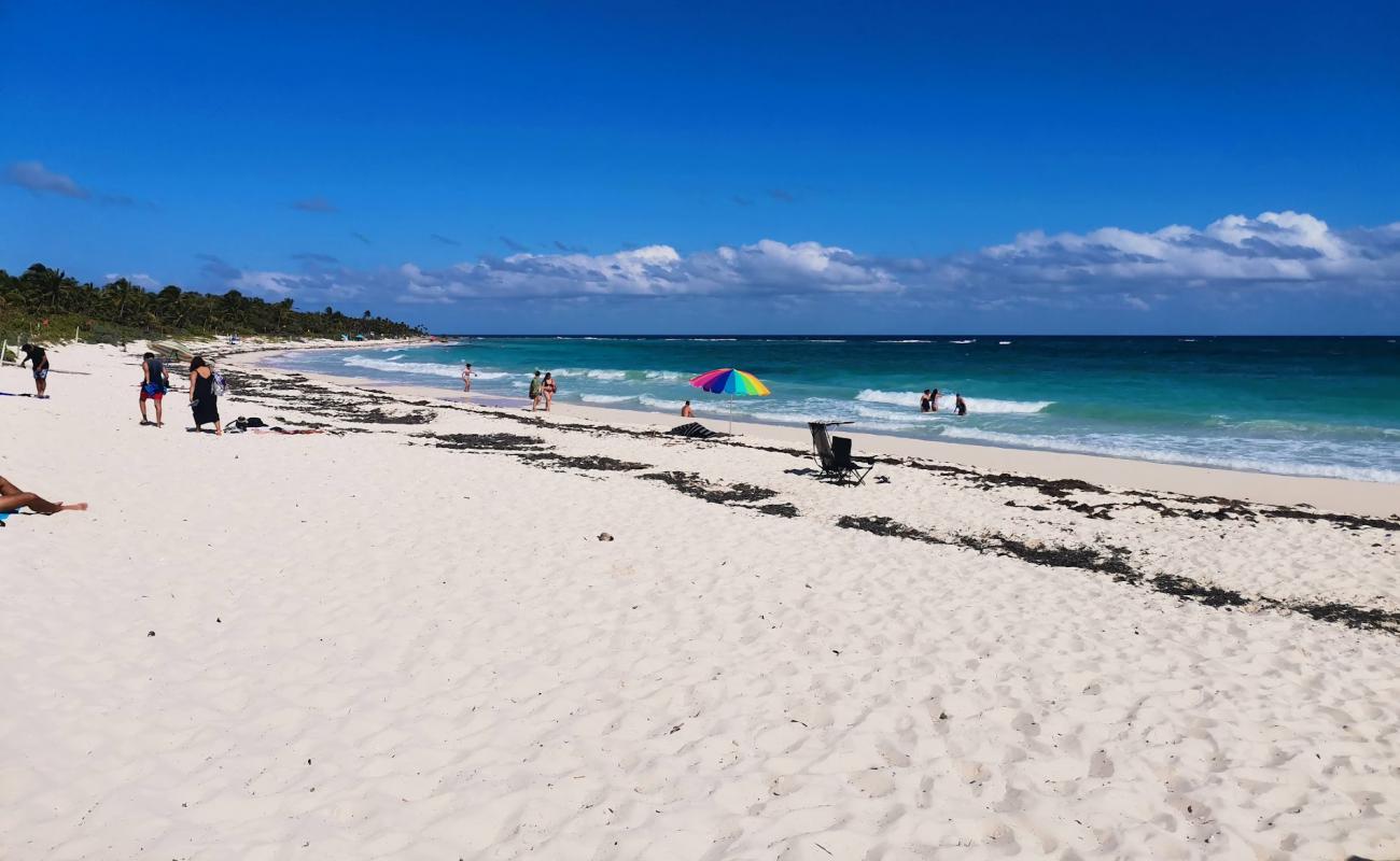 Tortuga Sanctuary'in fotoğrafı i̇nce beyaz kum yüzey ile