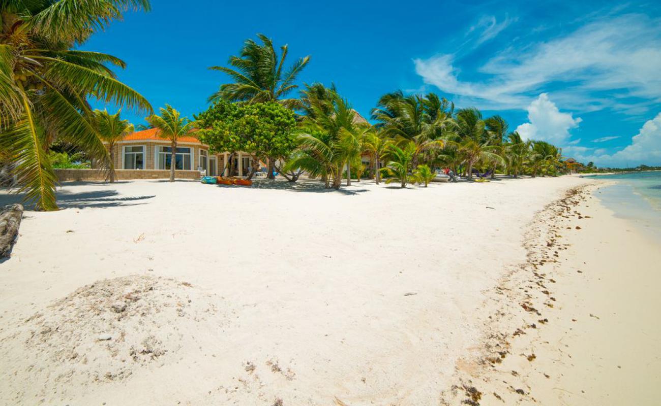 Casa Cenote beach'in fotoğrafı i̇nce bej kum yüzey ile