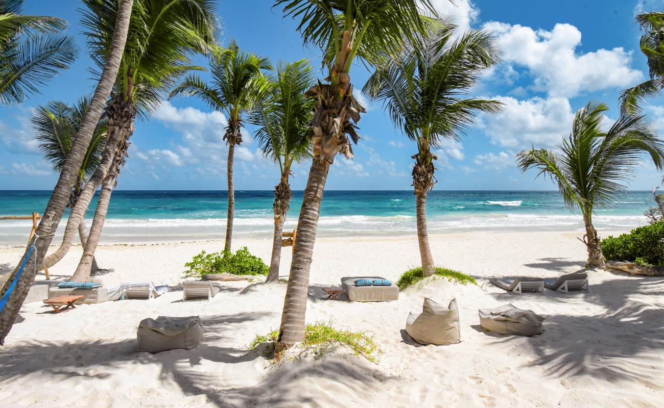 Tulum Plajı II'in fotoğrafı i̇nce beyaz kum yüzey ile