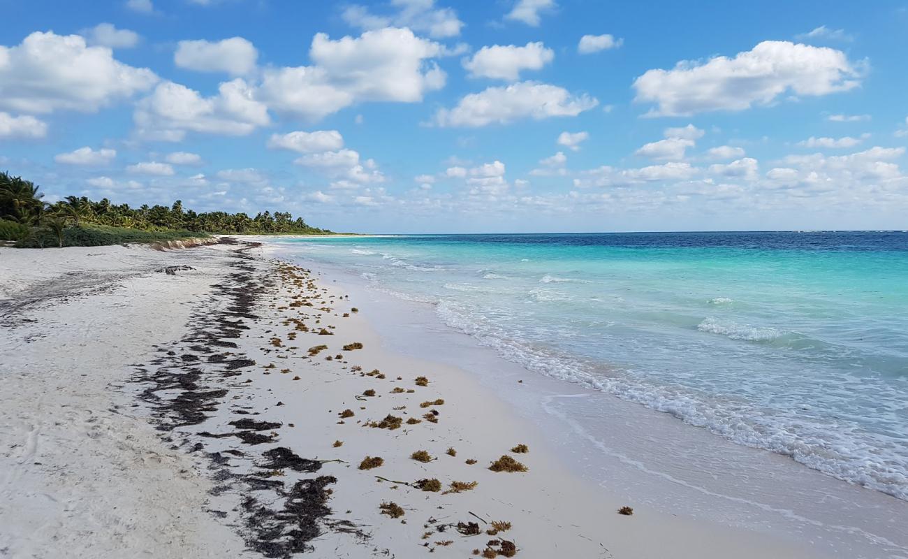 Mukan beach'in fotoğrafı parlak kum yüzey ile