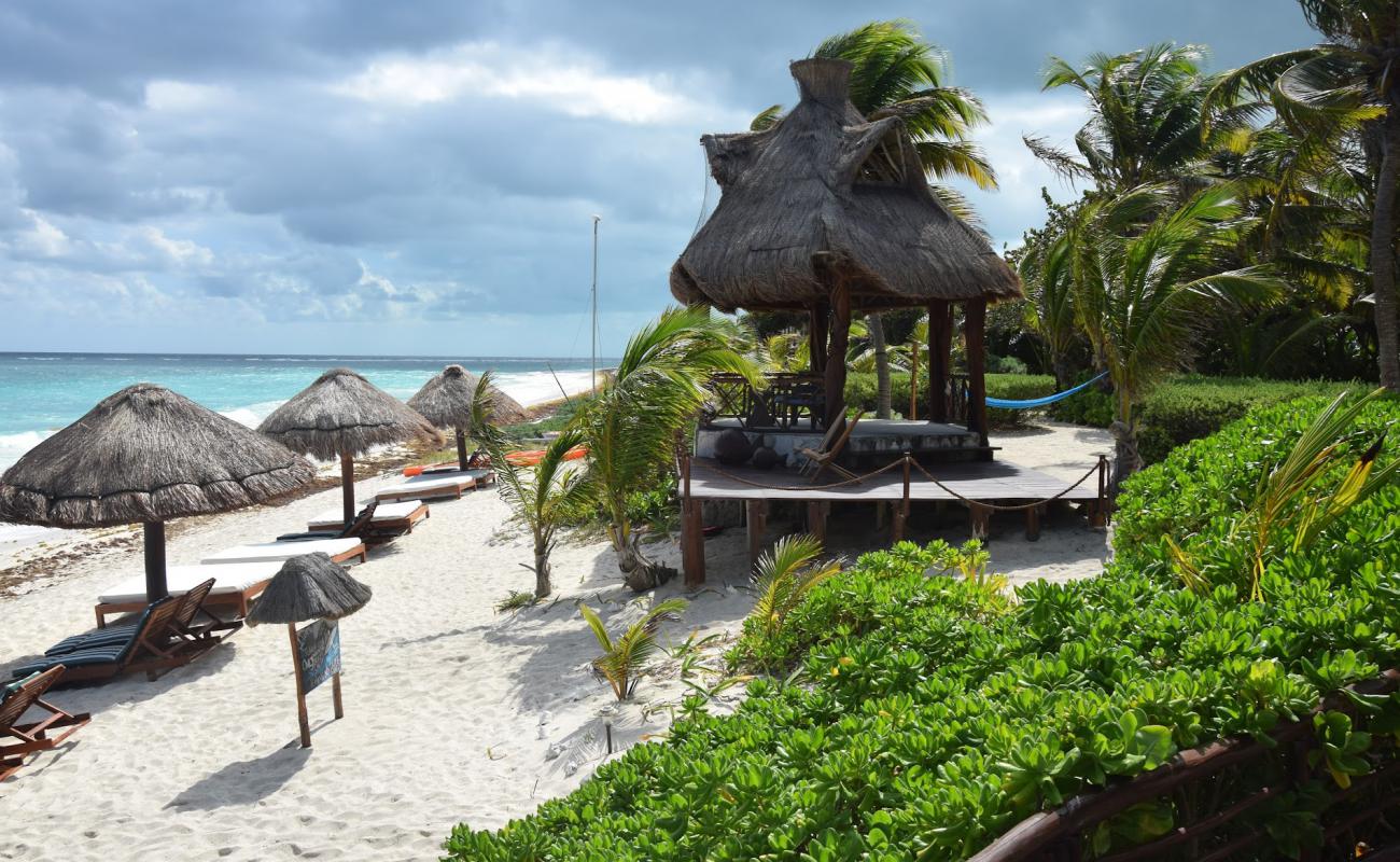 Sol Caribe beach'in fotoğrafı açık bej kum yüzey ile