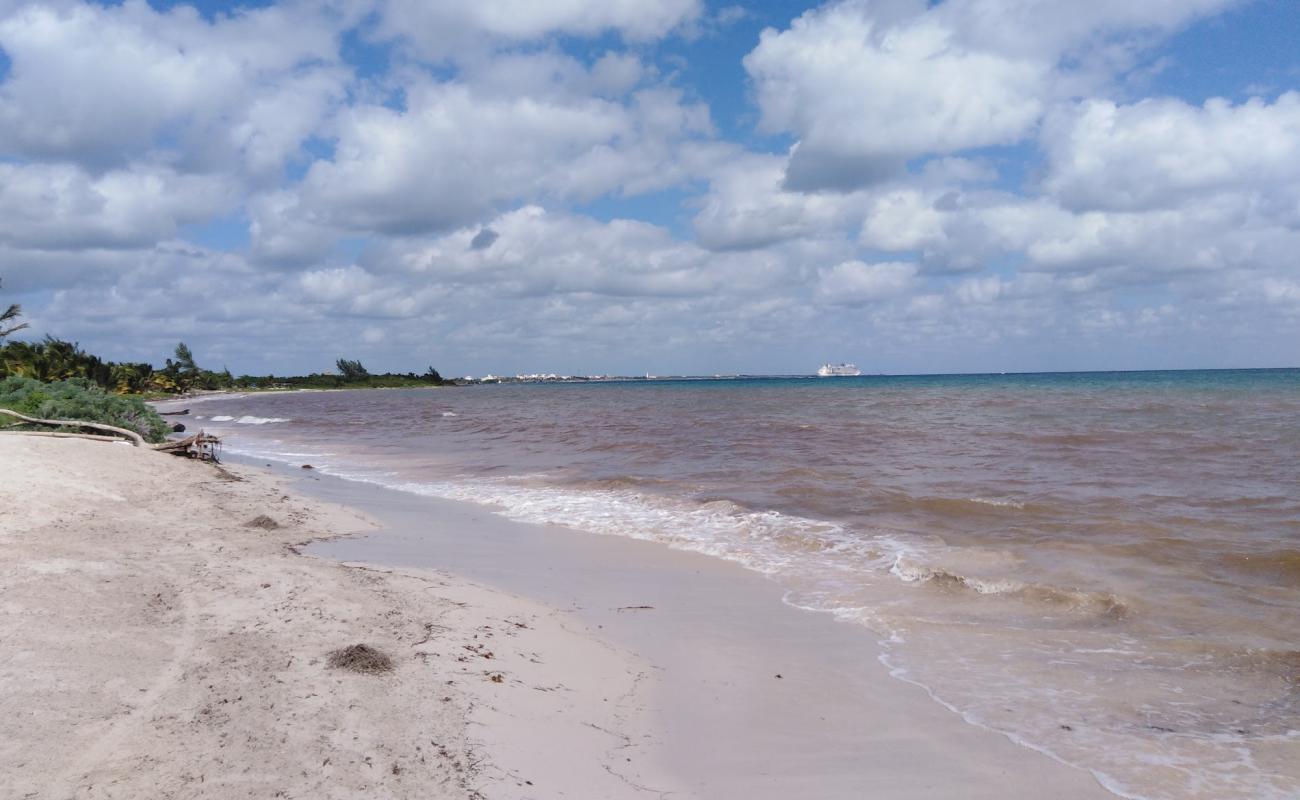 La bamba beach'in fotoğrafı açık bej kum yüzey ile
