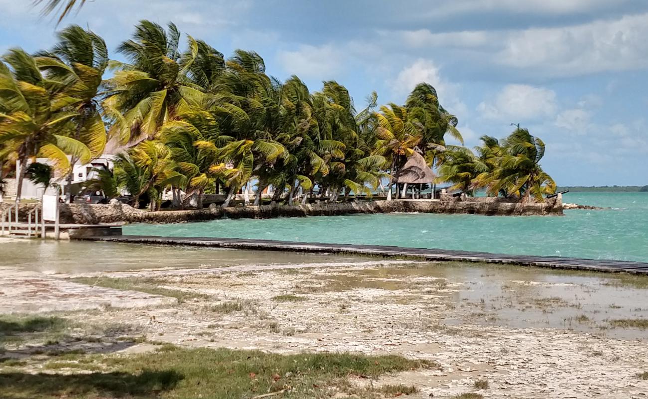 Calderitas beach'in fotoğrafı taşlı kum yüzey ile