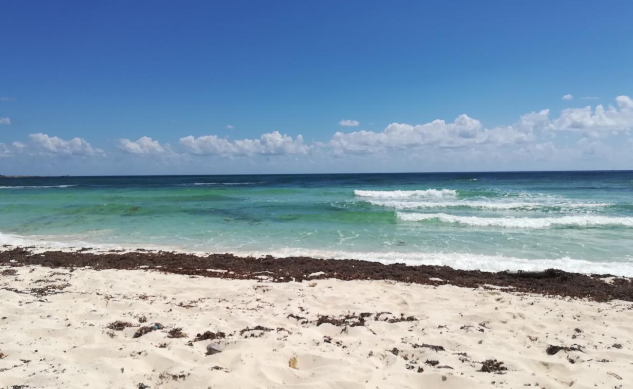 Bahia La Guera'in fotoğrafı açık bej kum yüzey ile