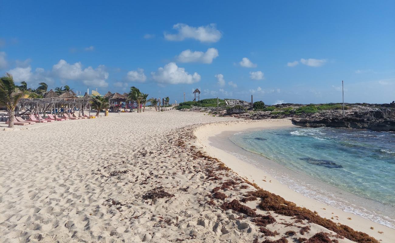 Playa Punta Morena'in fotoğrafı parlak ince kum yüzey ile