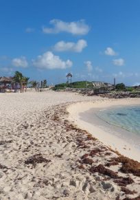 Punta Morena