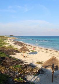 Playa San Martin
