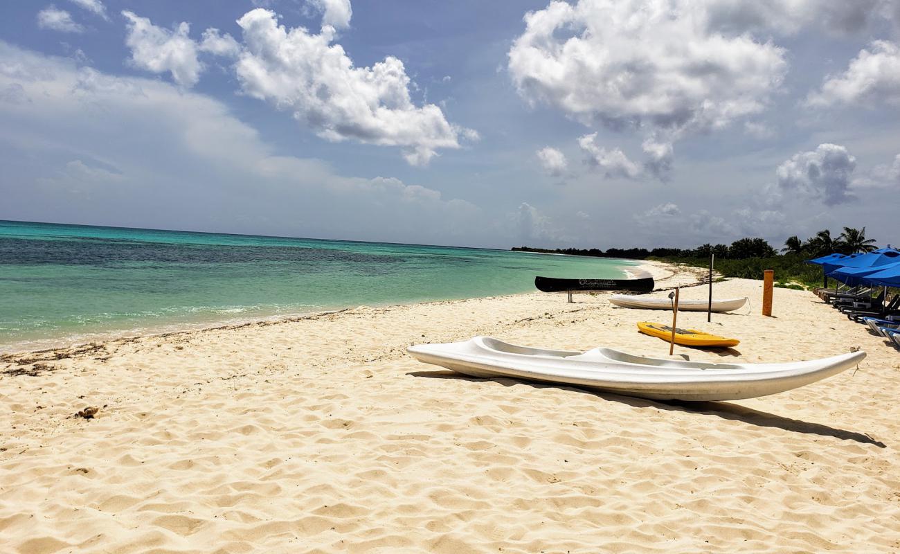 Playa Punta Sur'in fotoğrafı parlak ince kum yüzey ile