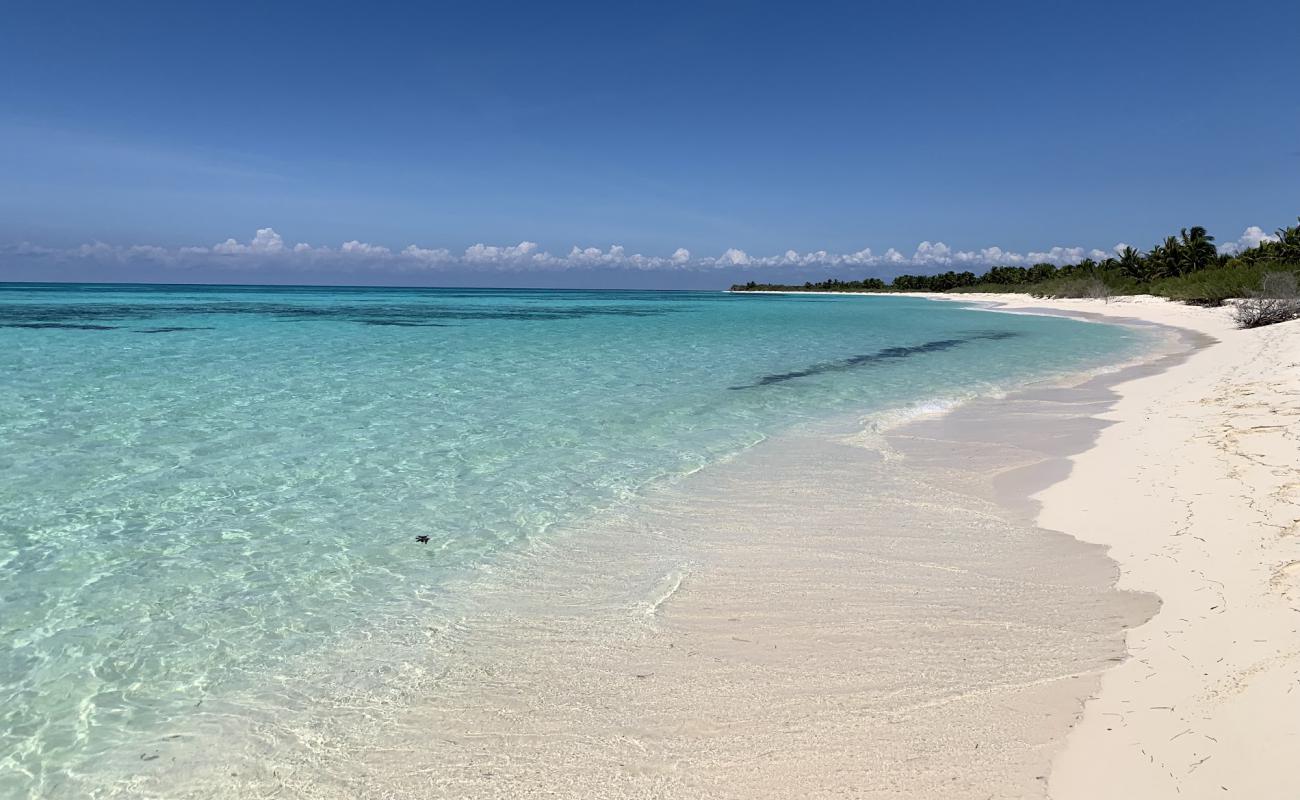 Playa "El Cielo"'in fotoğrafı i̇nce bej kum yüzey ile
