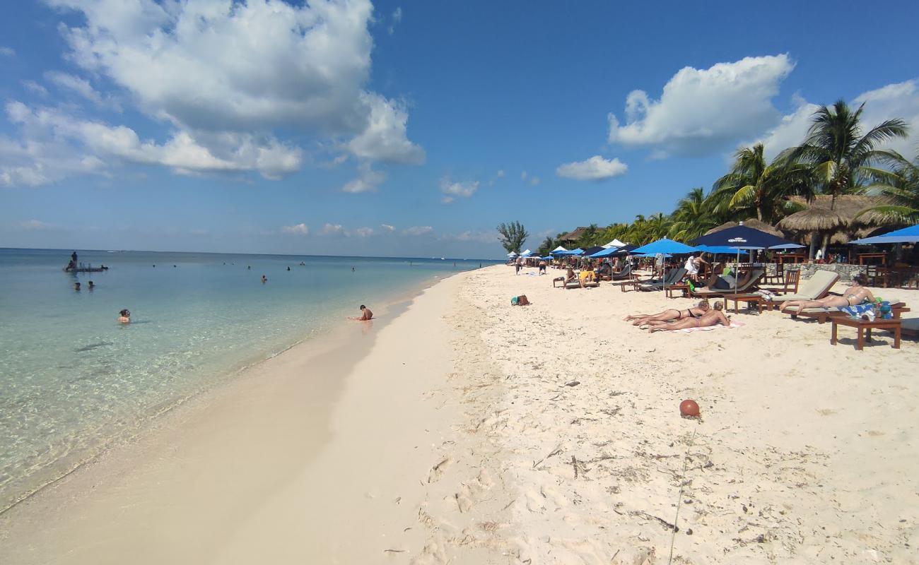 Playa Palancar'in fotoğrafı i̇nce bej kum yüzey ile