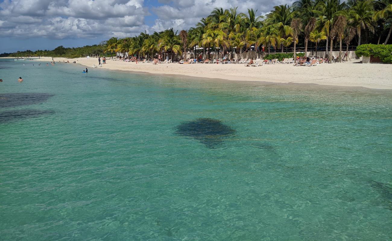 Occidental Cozumel'in fotoğrafı i̇nce bej kum yüzey ile
