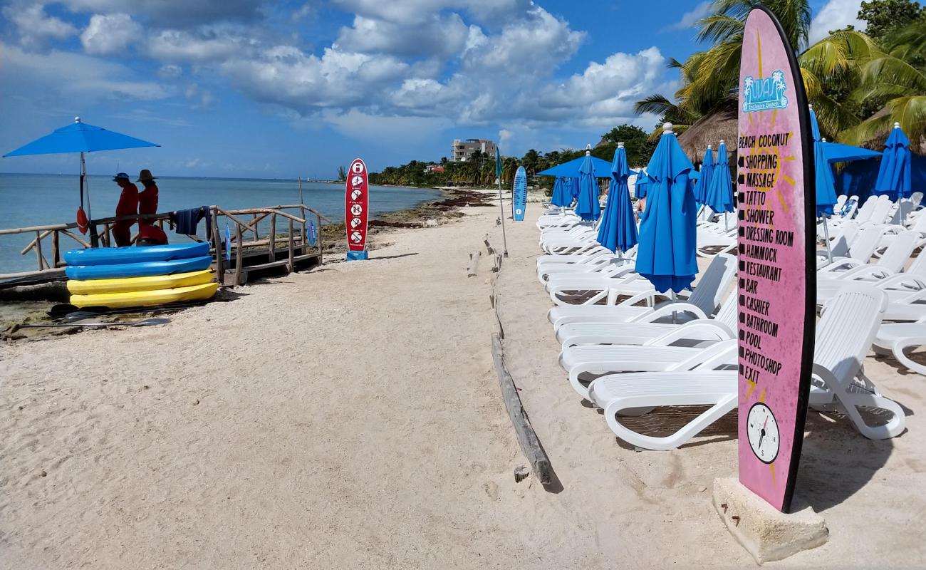 Playa Uvas'in fotoğrafı parlak kum ve kayalar yüzey ile