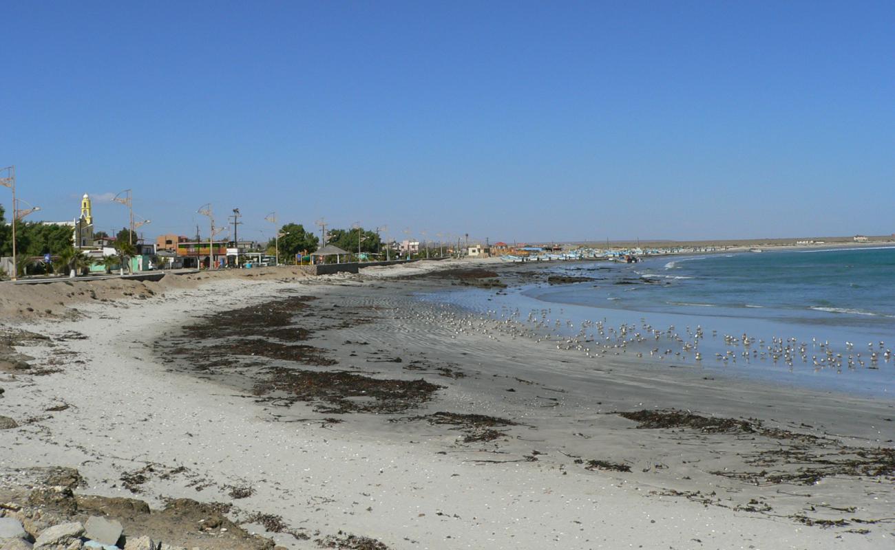Punta Abreojos Beach'in fotoğrafı taşlı kum yüzey ile
