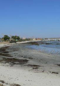 Punta Abreojos