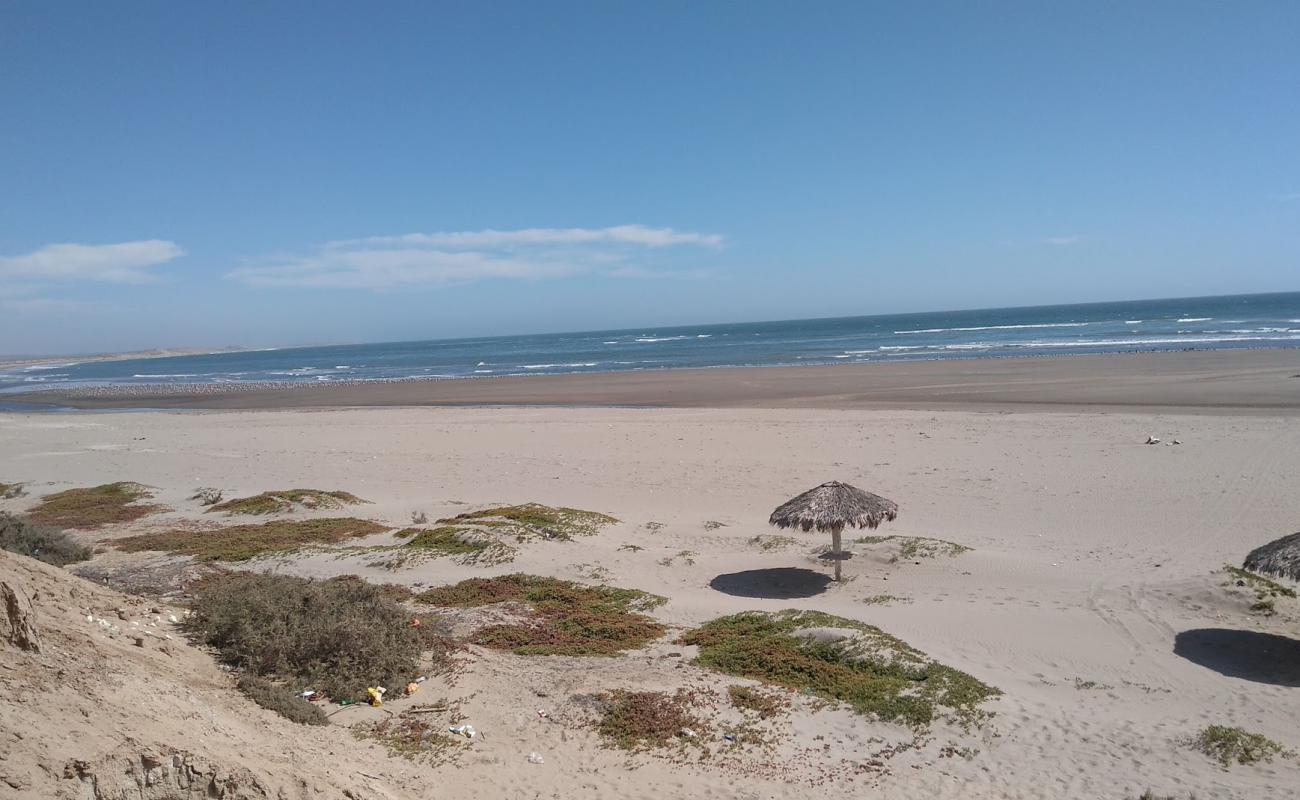 Las Barrancas Beach'in fotoğrafı kahverengi kum yüzey ile
