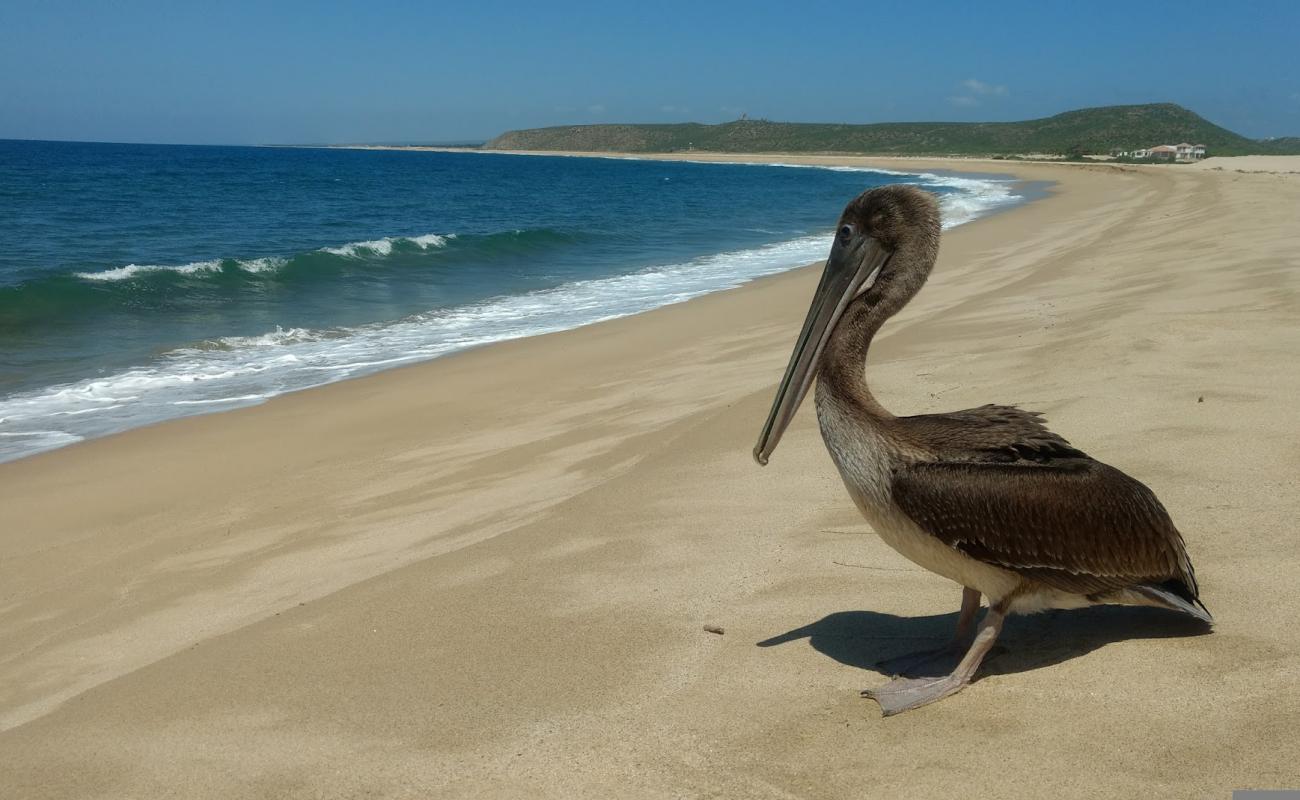 Punta Lobos'in fotoğrafı parlak ince kum yüzey ile