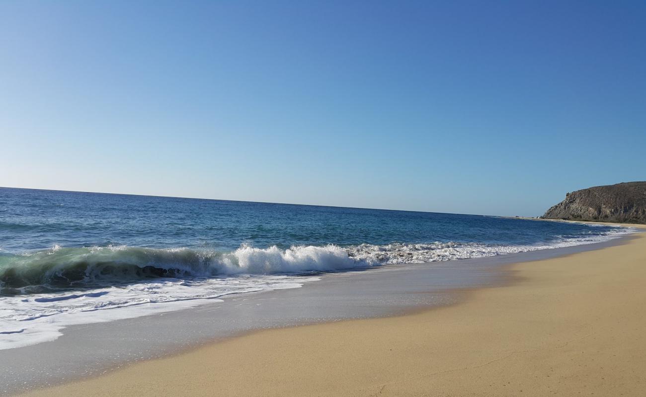 San Pedrito Beach'in fotoğrafı parlak ince kum yüzey ile