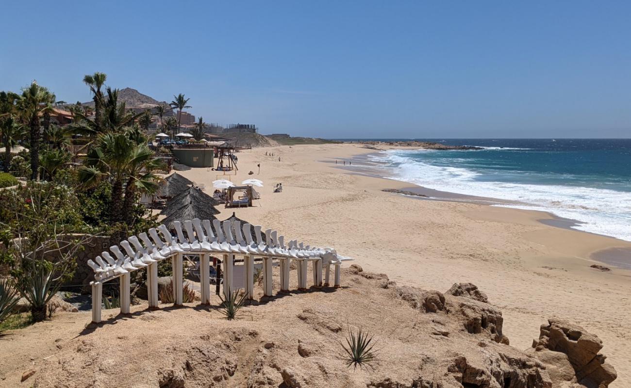 Playa Sheraton los Cabos'in fotoğrafı parlak ince kum yüzey ile