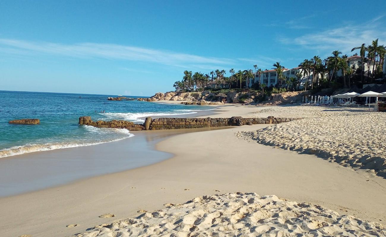 Playa Palmilla'in fotoğrafı i̇nce bej kum yüzey ile