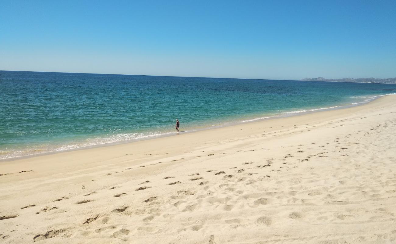 East Cape Beach'in fotoğrafı parlak ince kum yüzey ile