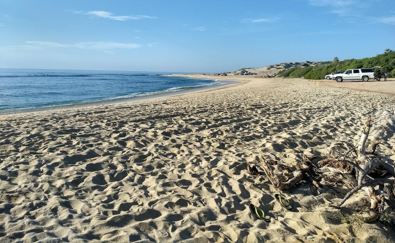 Nine Palms'in fotoğrafı i̇nce bej kum yüzey ile