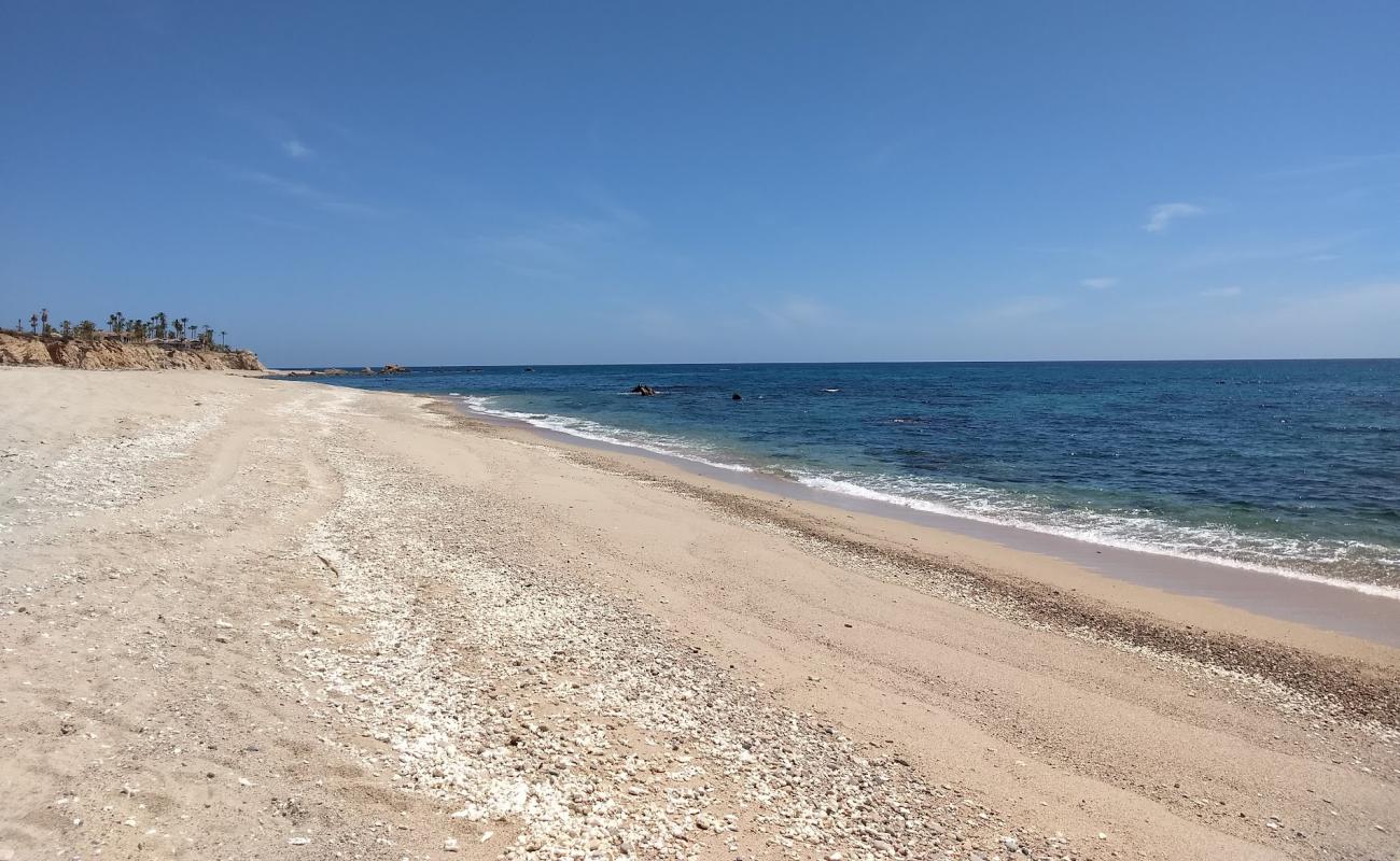 Playa Palo Blanquito'in fotoğrafı açık bej kum yüzey ile