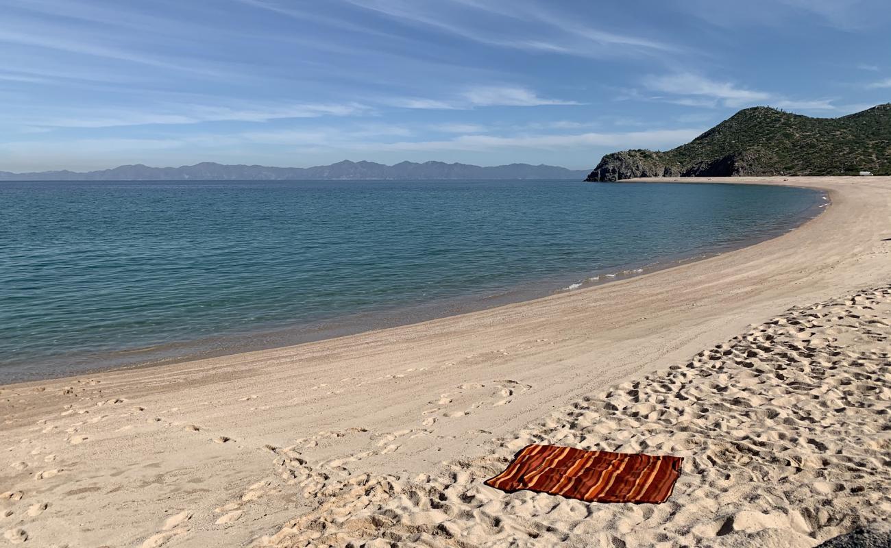 Playa Muertitos'in fotoğrafı parlak kabuk kumu yüzey ile