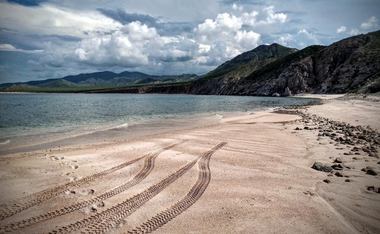 Playa el Rosario'in fotoğrafı açık bej kum yüzey ile