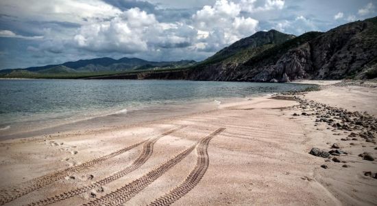 Playa el Rosario