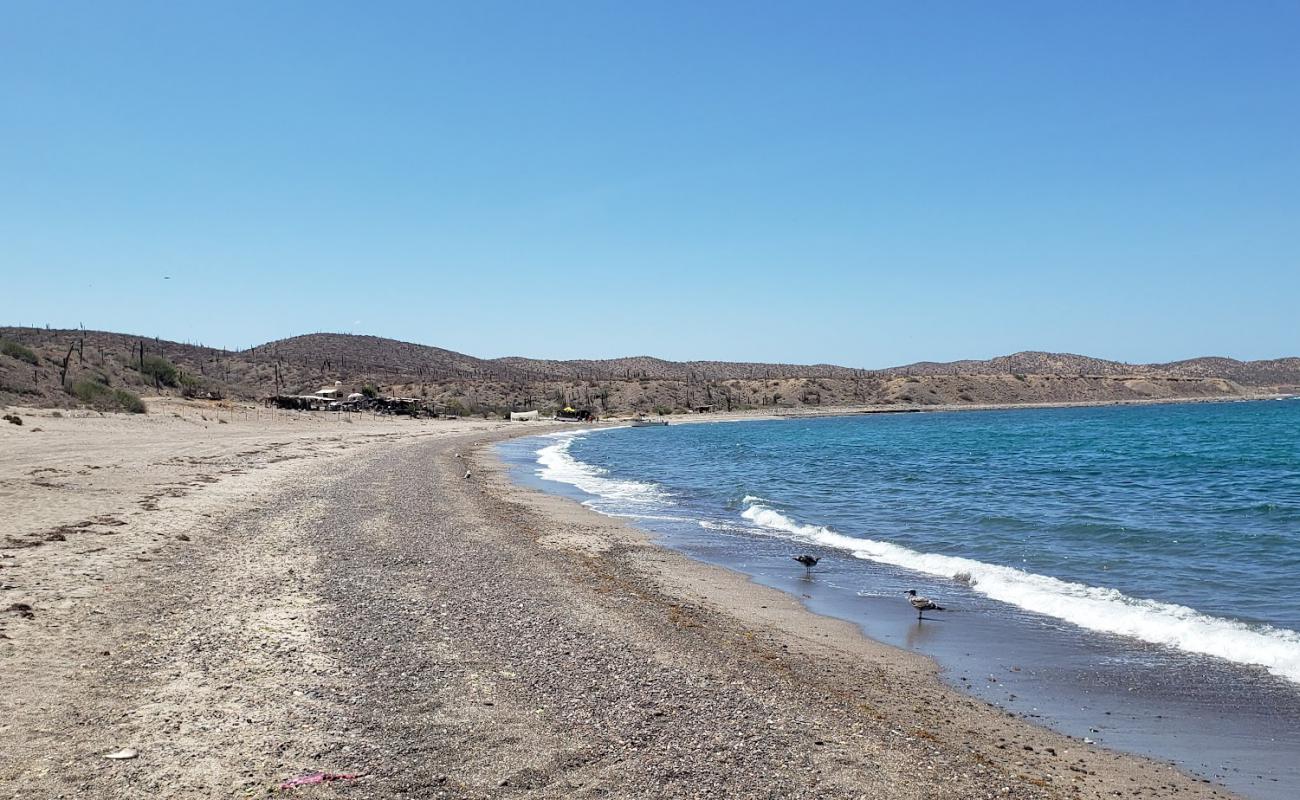 Playa el Coyote'in fotoğrafı gri kum ve çakıllar yüzey ile