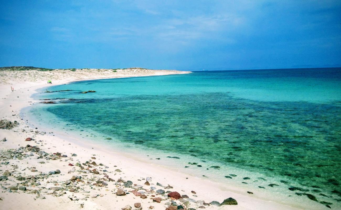 Playa Pulguero Tepetates'in fotoğrafı çakıl ile kum yüzey ile