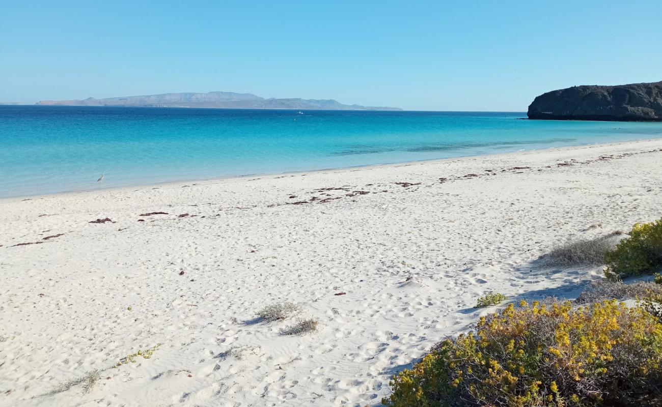 Playa Escondida'in fotoğrafı i̇nce bej kum yüzey ile