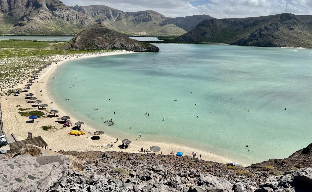 Playa Balandra'in fotoğrafı parlak ince kum yüzey ile