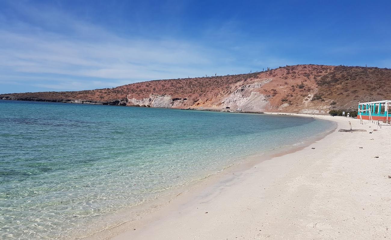 Playa Pichilingue'in fotoğrafı açık bej kum yüzey ile